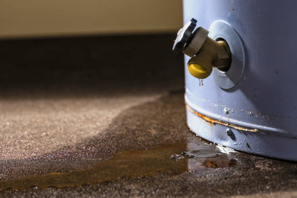 Best Water damage cleanup near me  in Spring Lake, NJ