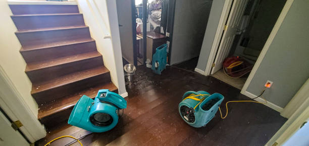 Best Emergency water extraction  in Spring Lake, NJ