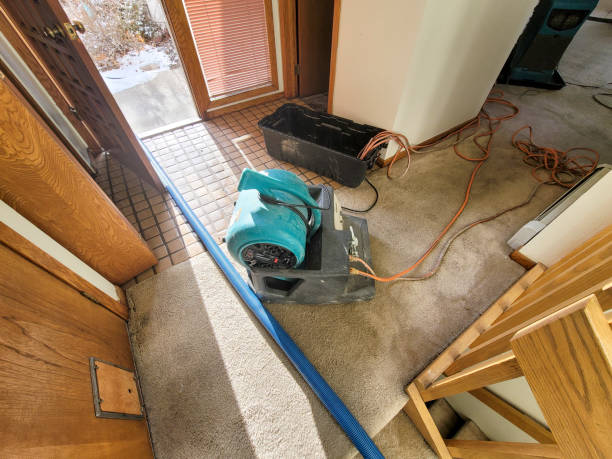 Best Carpet water damage restoration  in Spring Lake, NJ